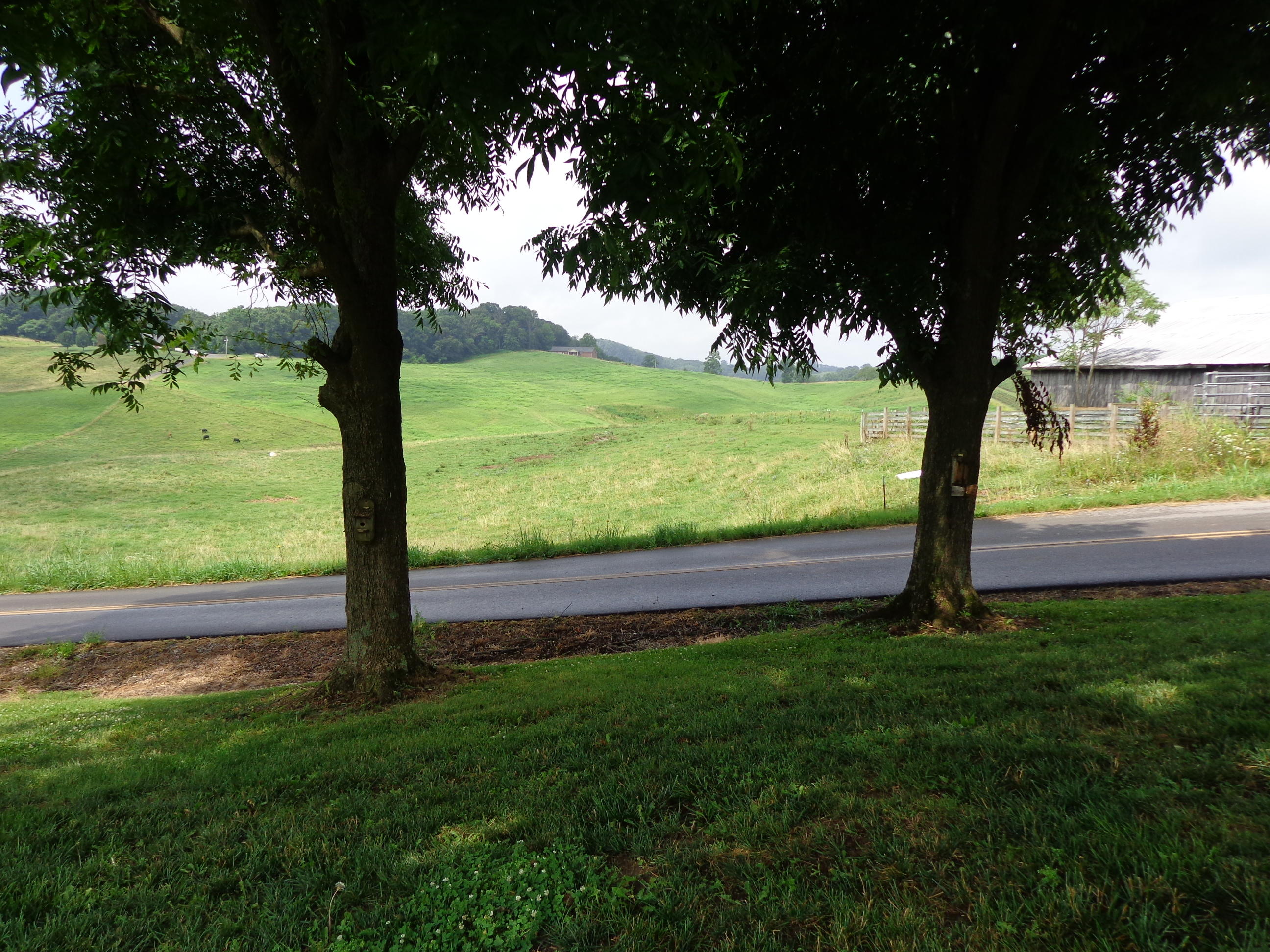 429 Greenlee Road Rutledge, TN 37861 - Photo 24 of 31 #579327 greenlee (4)