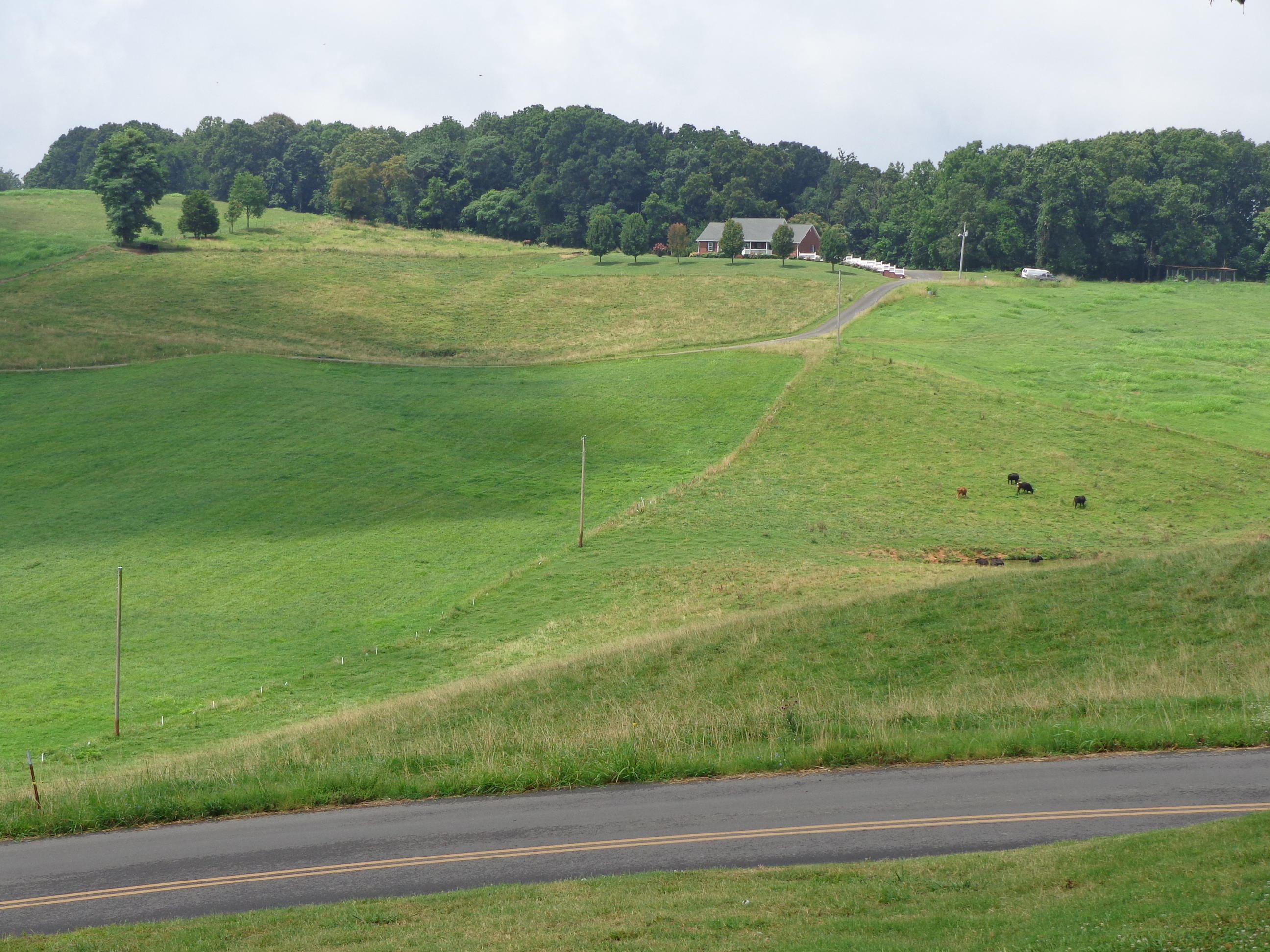 429 Greenlee Road Rutledge, TN 37861 - Photo 30 of 31 #579327 greenlee (32)