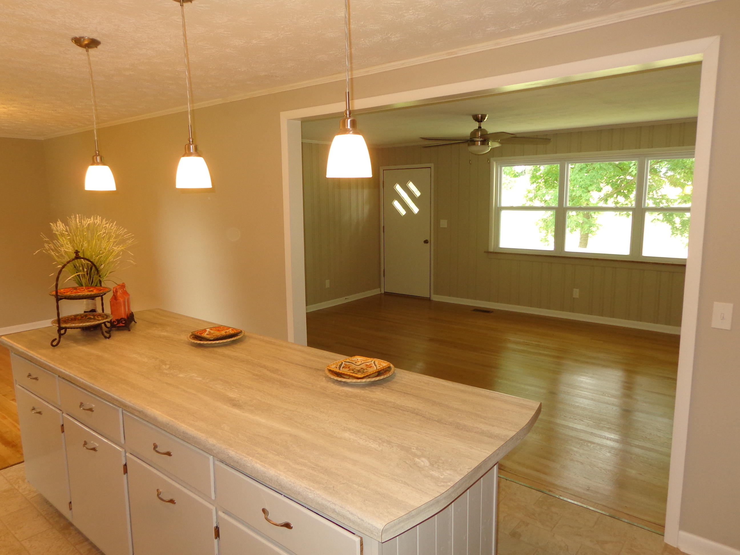 429 Greenlee Road Rutledge, TN 37861 - Photo 8 of 31 #579327 greenlee (23)