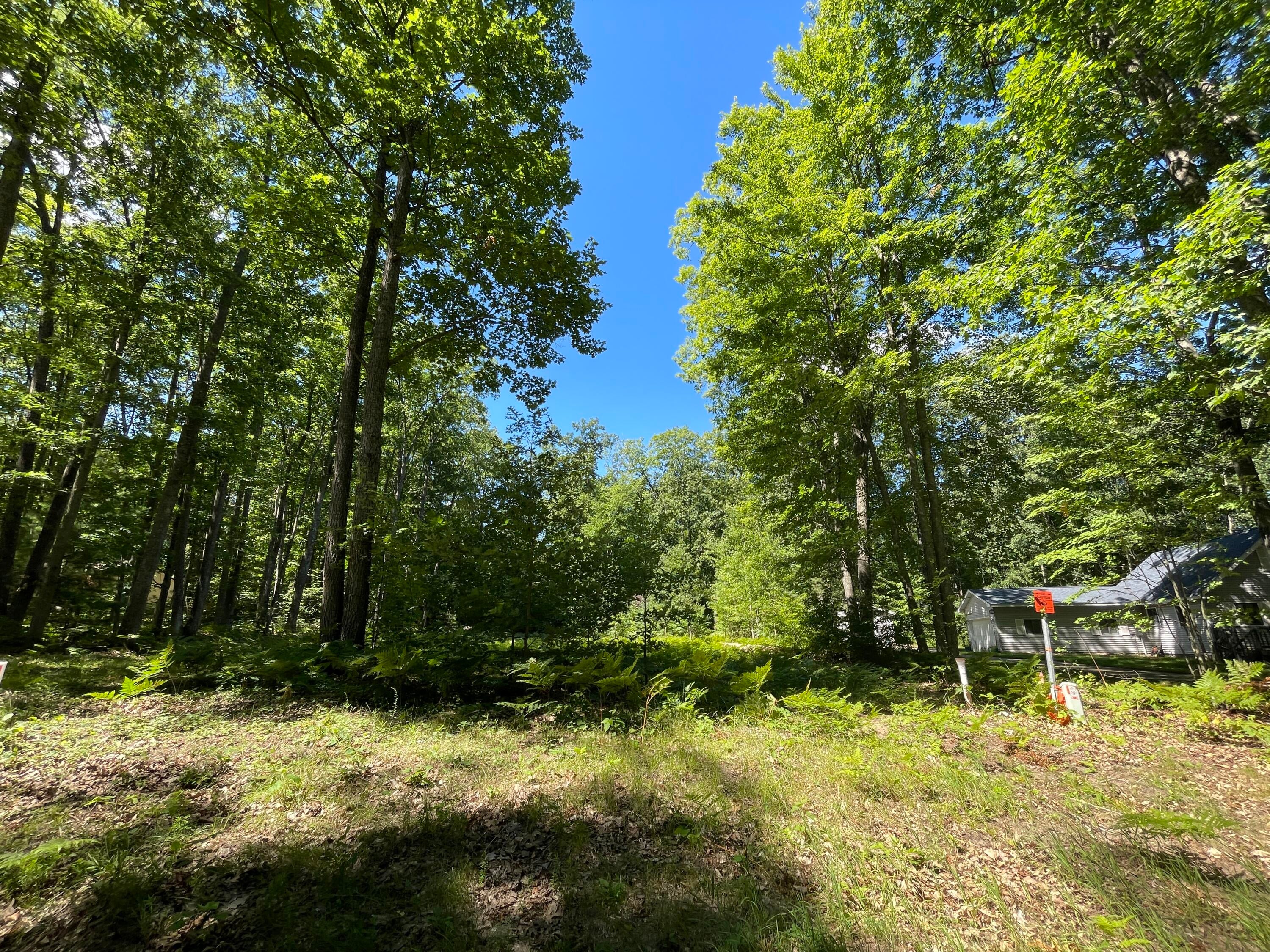 Lot 17 High Road Roscommon, MI 48653 - Photo 3 of 5 Gallery Image 3