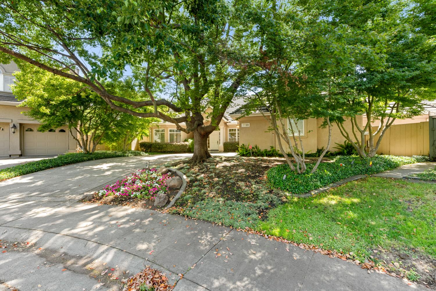 7710 Rio Barco Way Sacramento, CA 95831 - Photo 56 of 57 a view of backyard with tree