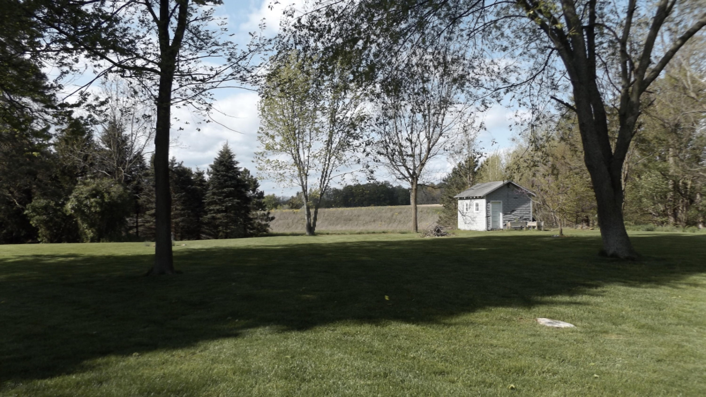 7286 Usborne Road Lake Odessa, MI 48849 - Photo 27 of 32 DSCF0159