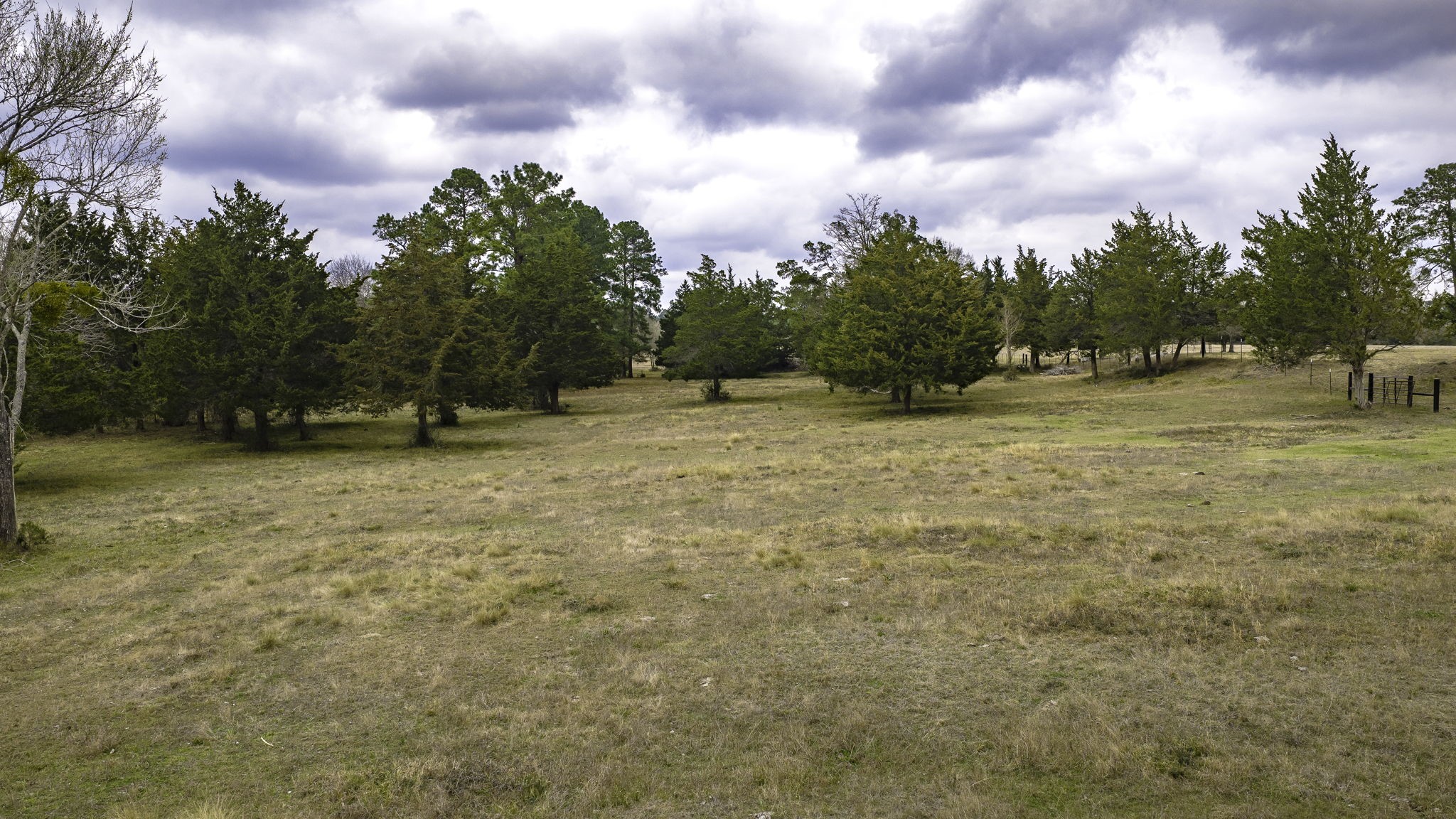 24784 Bailey Grove Road Montgomery, TX 77356 - Photo 18 of 25 a backyard of a house