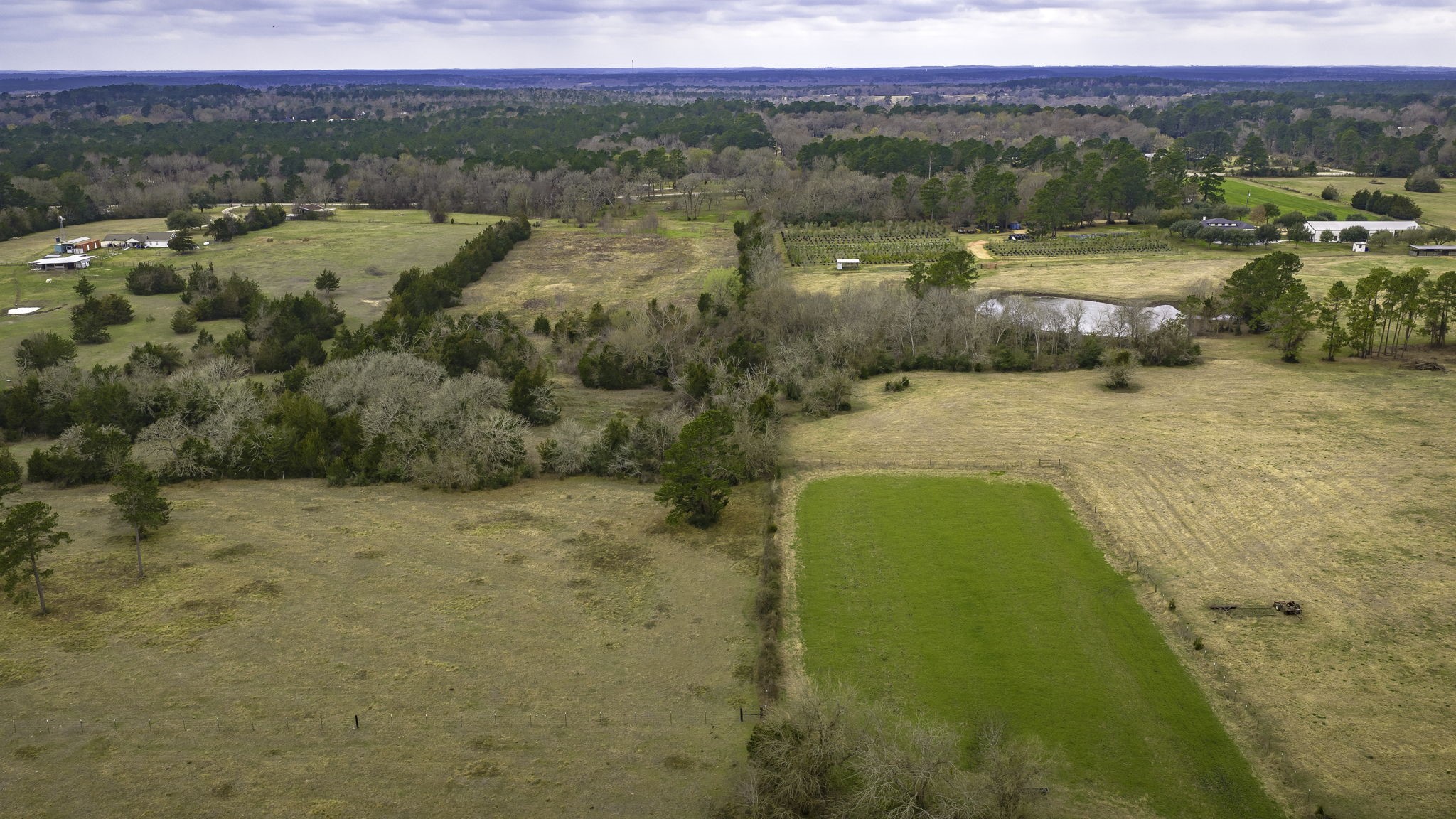 24784 Bailey Grove Road Montgomery, TX 77356 - Photo 9 of 25