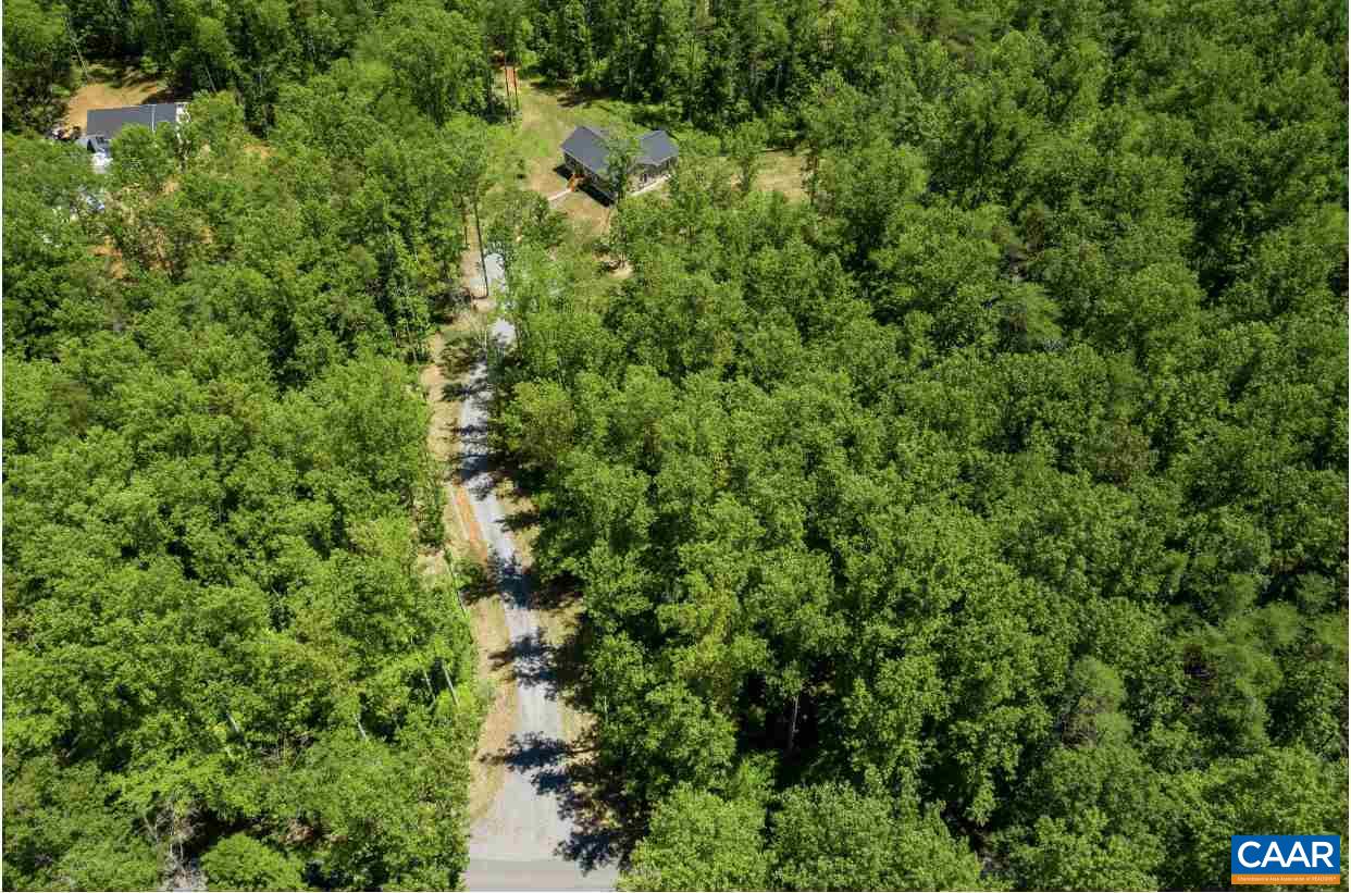 3564 Ridgeview Road Reva, VA 22735 - Photo 17 of 50 a view of a forest with a tree