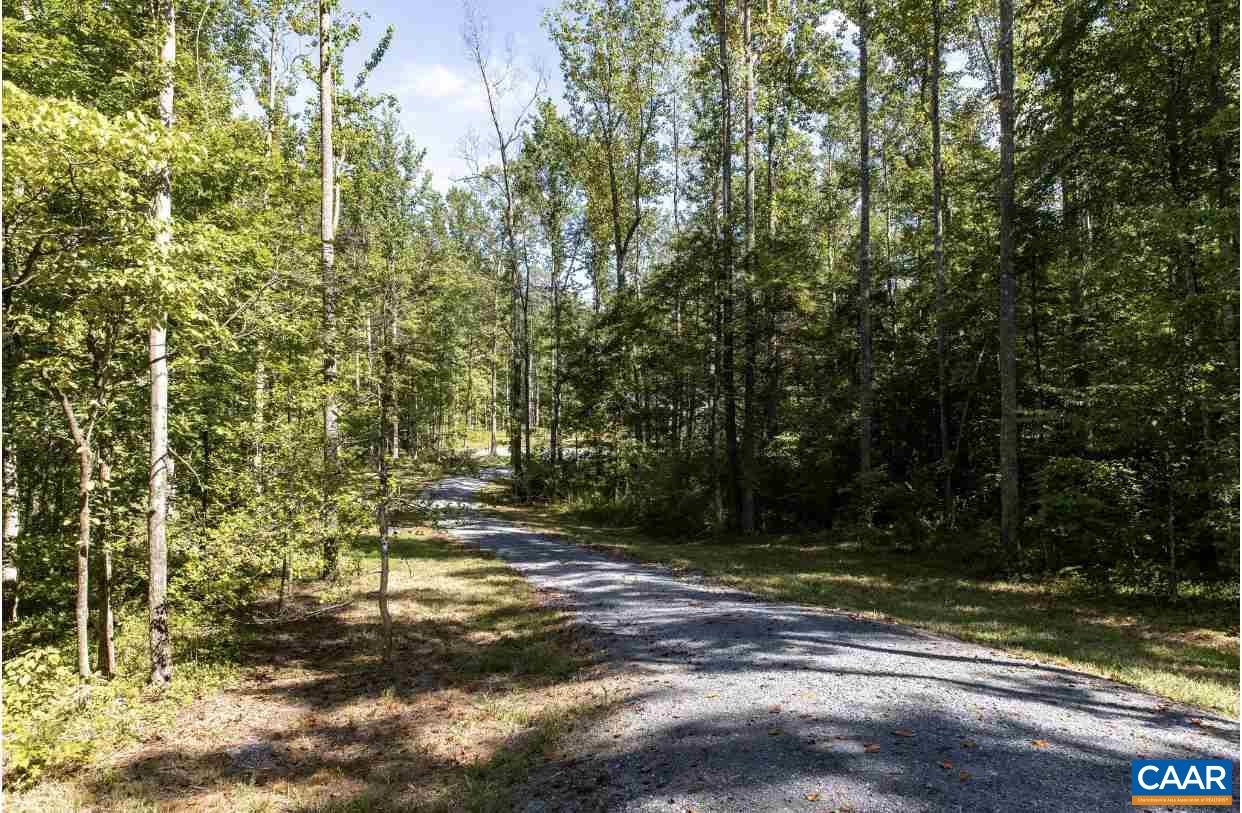 3564 Ridgeview Road Reva, VA 22735 - Photo 50 of 50 a view of a yard with plants and trees
