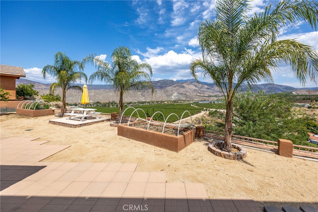 45540 Denizen Heights Road Hemet, CA 92544 - Photo 27 of 37 Backyard