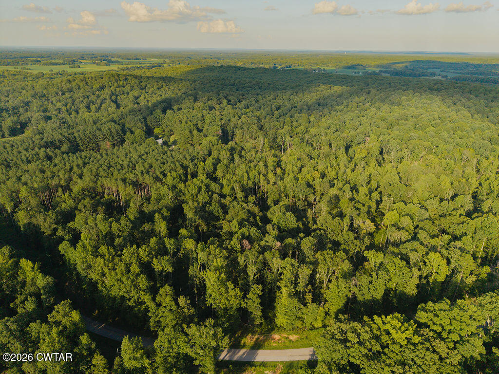 705 Cave Springs Road Henderson, TN 38340 - Photo 91 of 91 DJI_20260804072023_0089_D