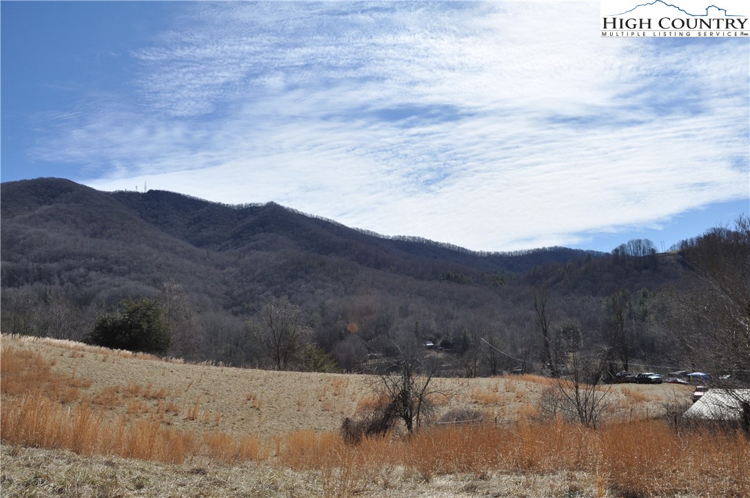 Denny Hollow Road Warrensville, NC 28693 - Photo 2 of 23 Gallery Image 2