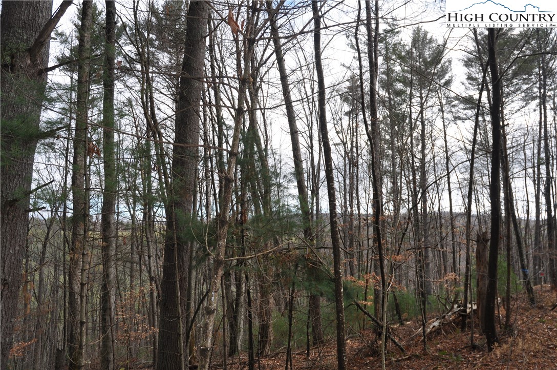 Denny Hollow Road Warrensville, NC 28693 - Photo 23 of 23 Gallery Image 23