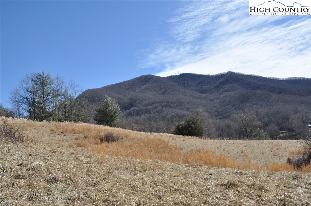 Denny Hollow Road Warrensville, NC 28693 - Photo 8 of 23 Gallery Image 8