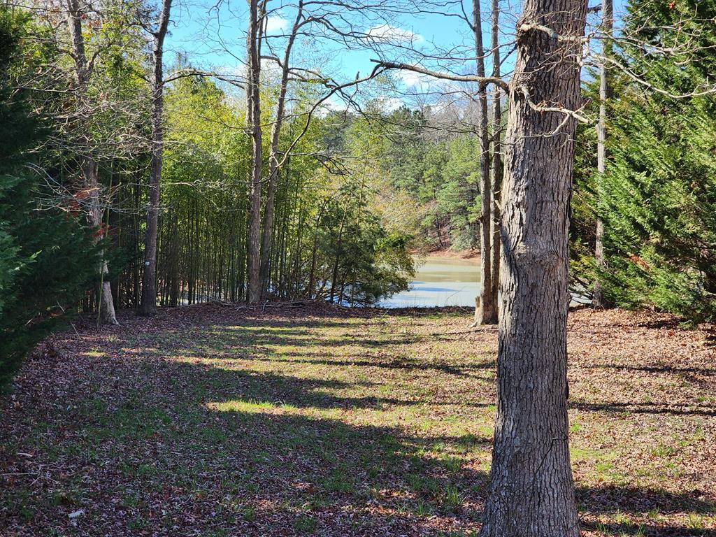 Lot 1867 Seahorse Road, Unit 1867 Greenbackville, VA 23356 - Photo 2 of 3