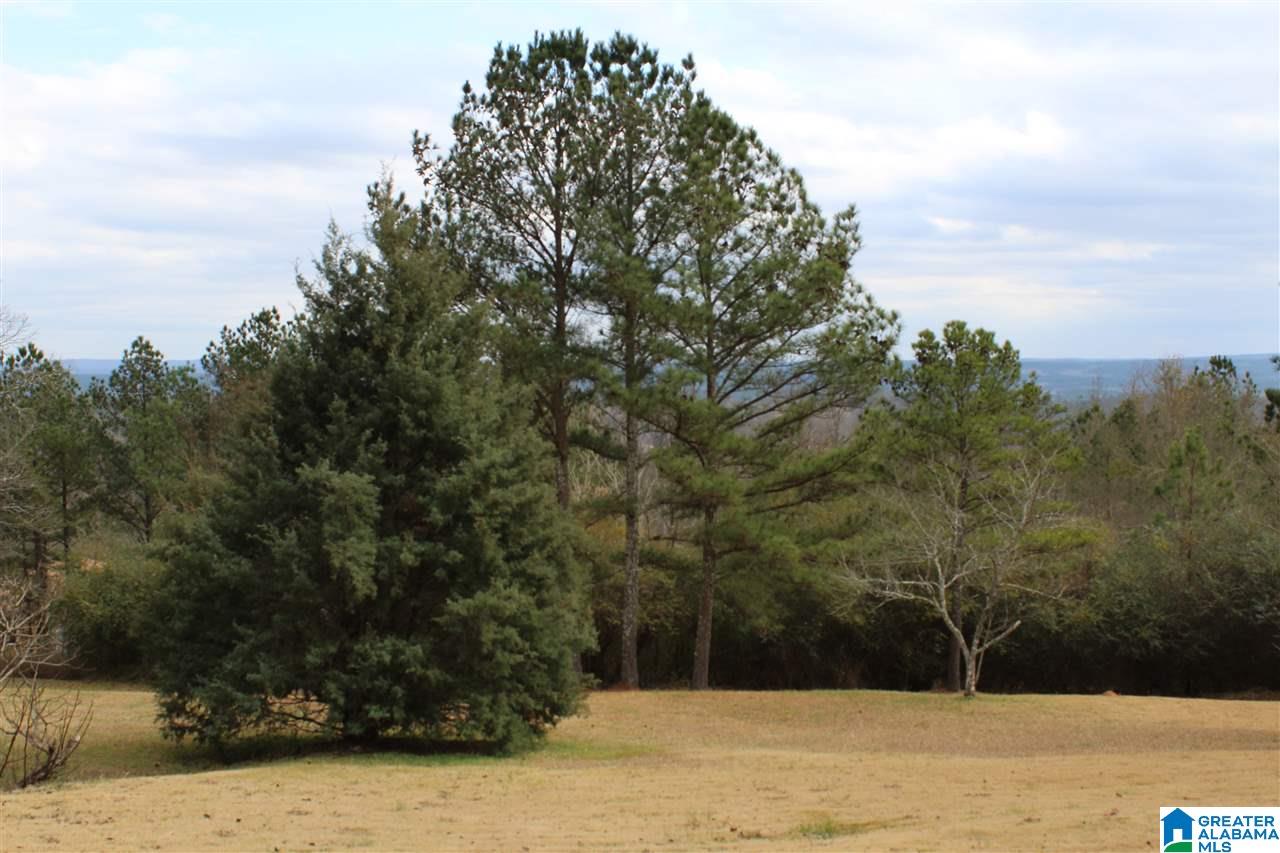 4801 South Shades Crest Road Helena, AL 35080 - Photo 28 of 31