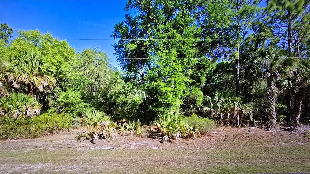 10487 West Dunnellon Road Crystal River, FL 34428 - Photo 5 of 5