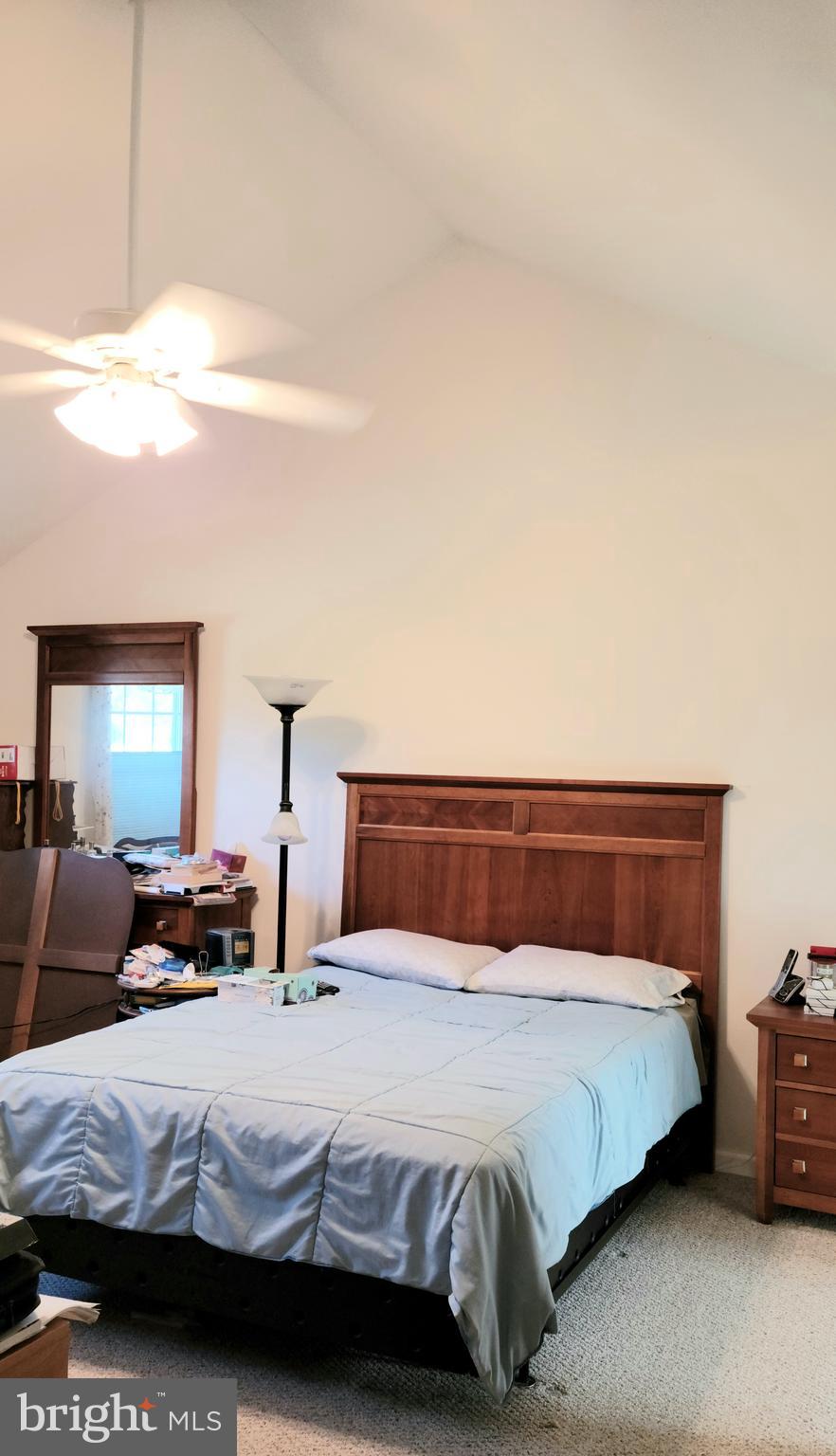 Primary Bedroom w/ Cathedral Ceilings