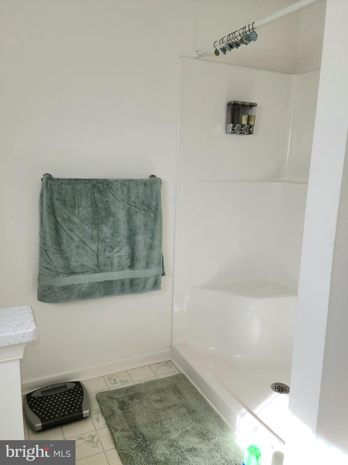 51 Range Road North East, MD 21901 - Photo 9 of 10 On Suite Bath Shower w/Seat