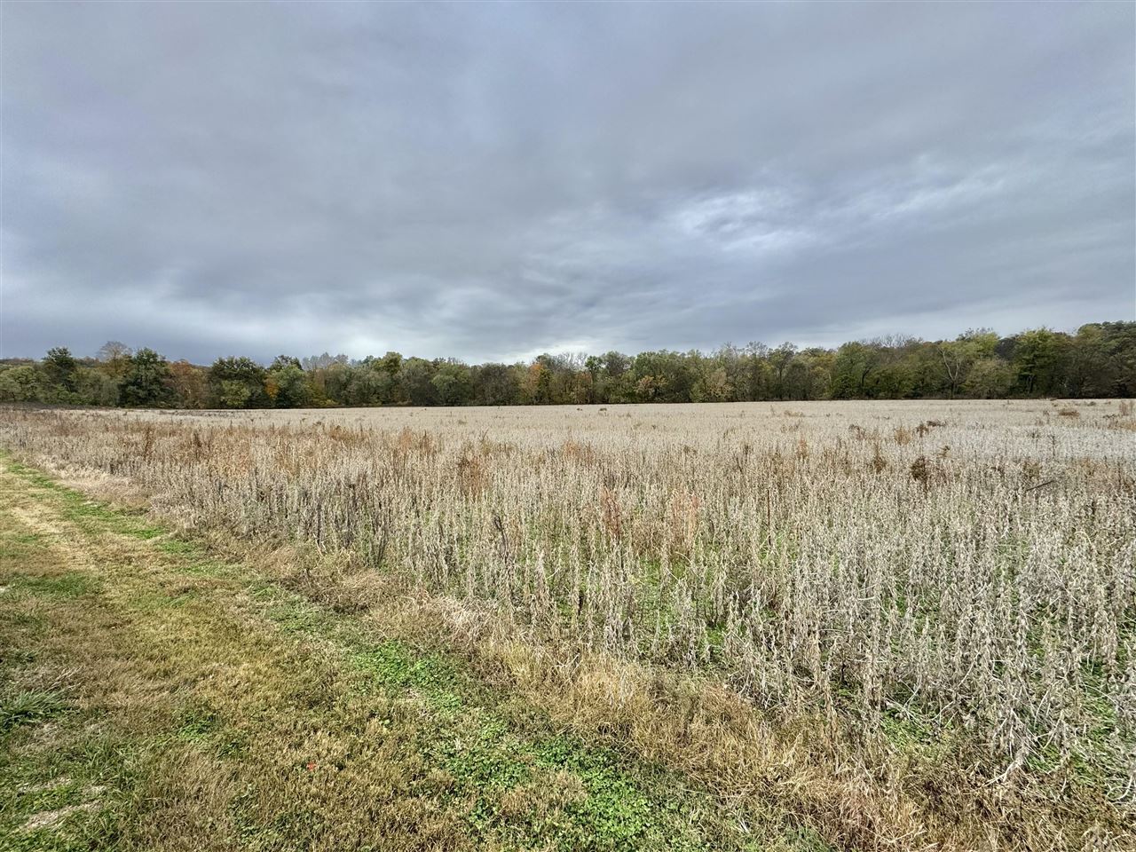 401 Duncan Road Alvaton, KY 42122 - Photo 2 of 18 Gallery Image 2