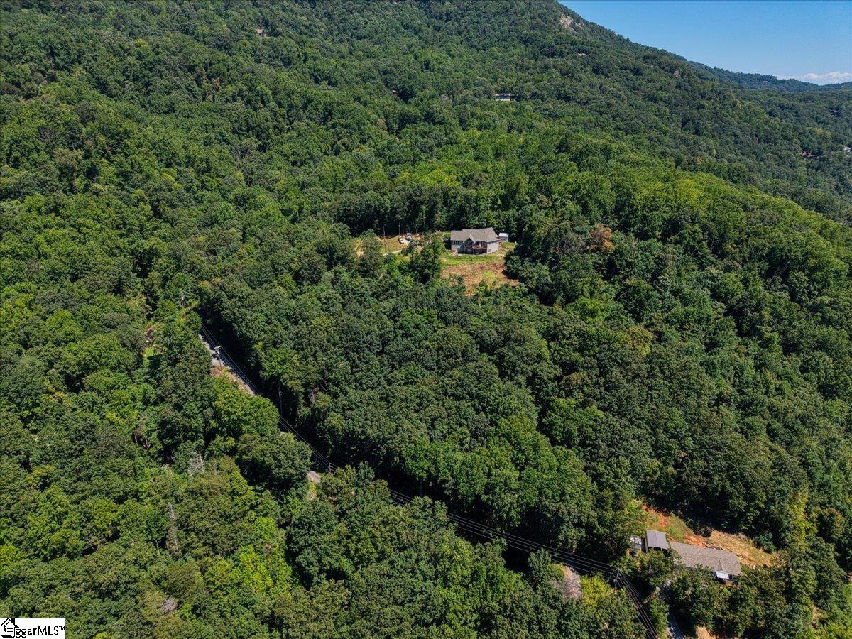 140 Christ Rock Camp Road Landrum, SC 29356 - Photo 3 of 11