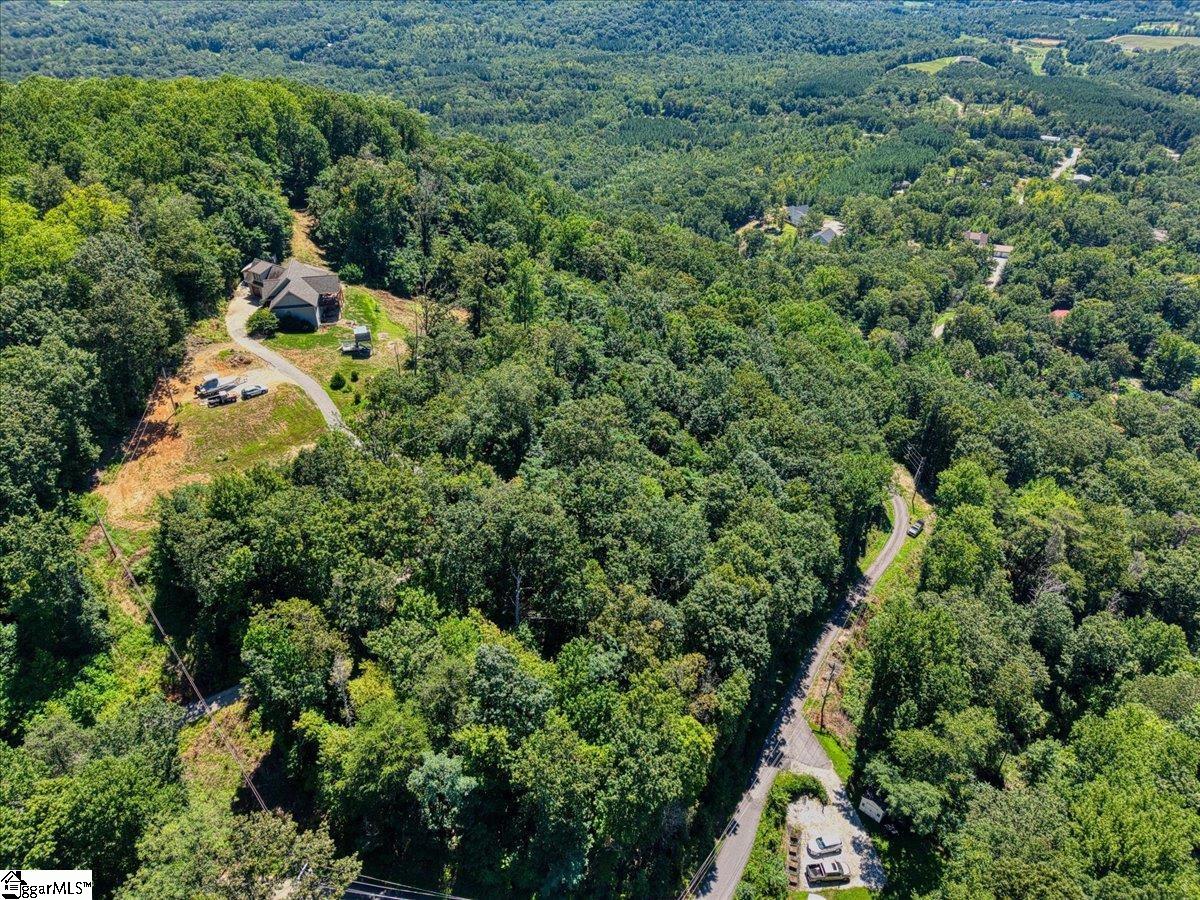 140 Christ Rock Camp Road Landrum, SC 29356 - Photo 5 of 11