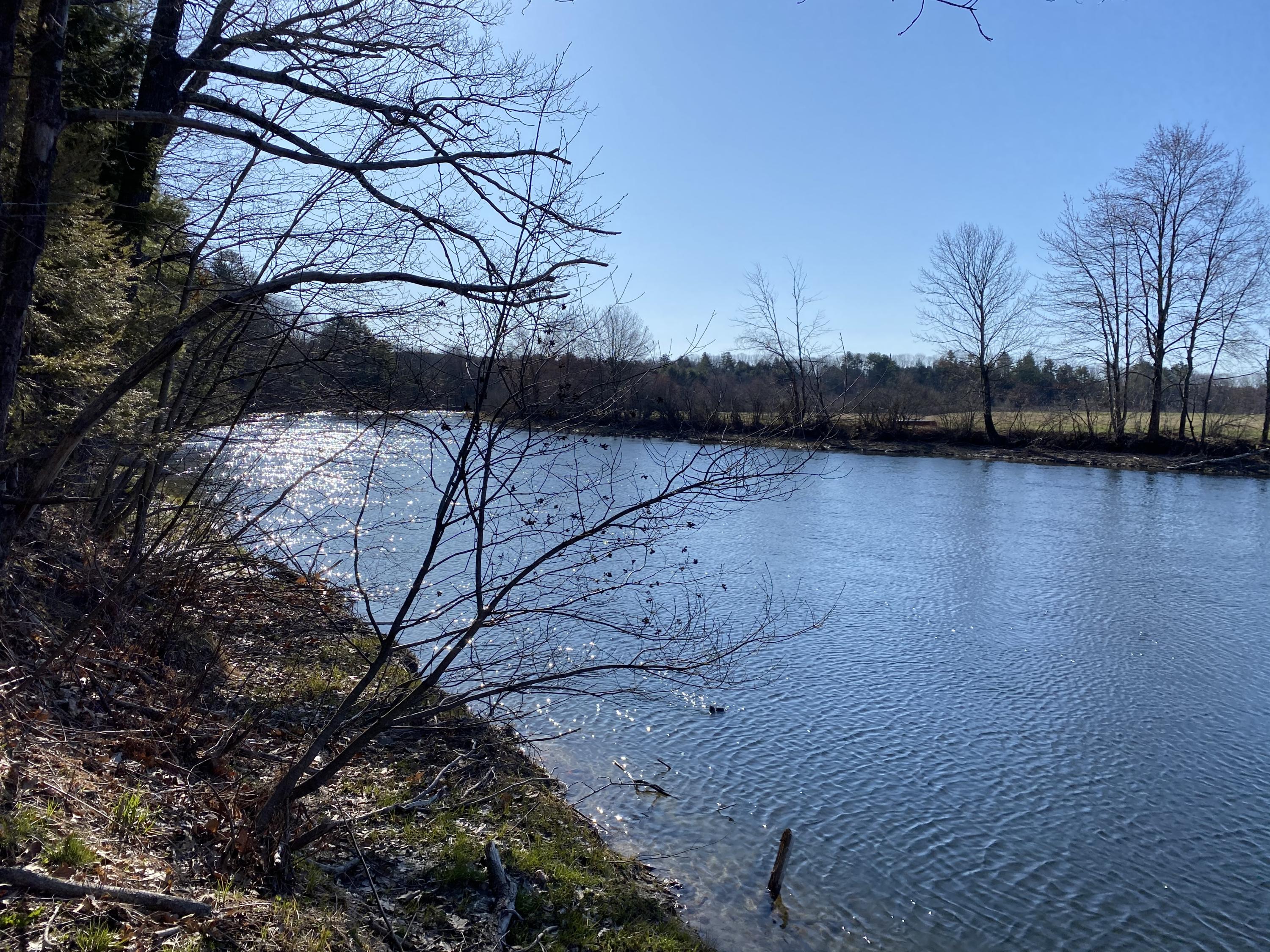 42 Rousseau Road Windham, ME 04062 - Photo 11 of 19 IMG-4009