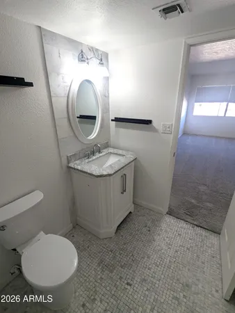 a bathroom with a toilet a sink and mirror