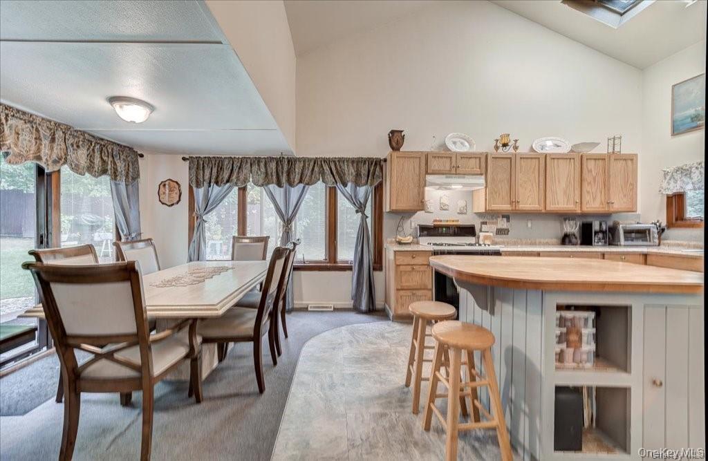 13 Laurel Trail Monroe, NY 10950 - Photo 5 of 19