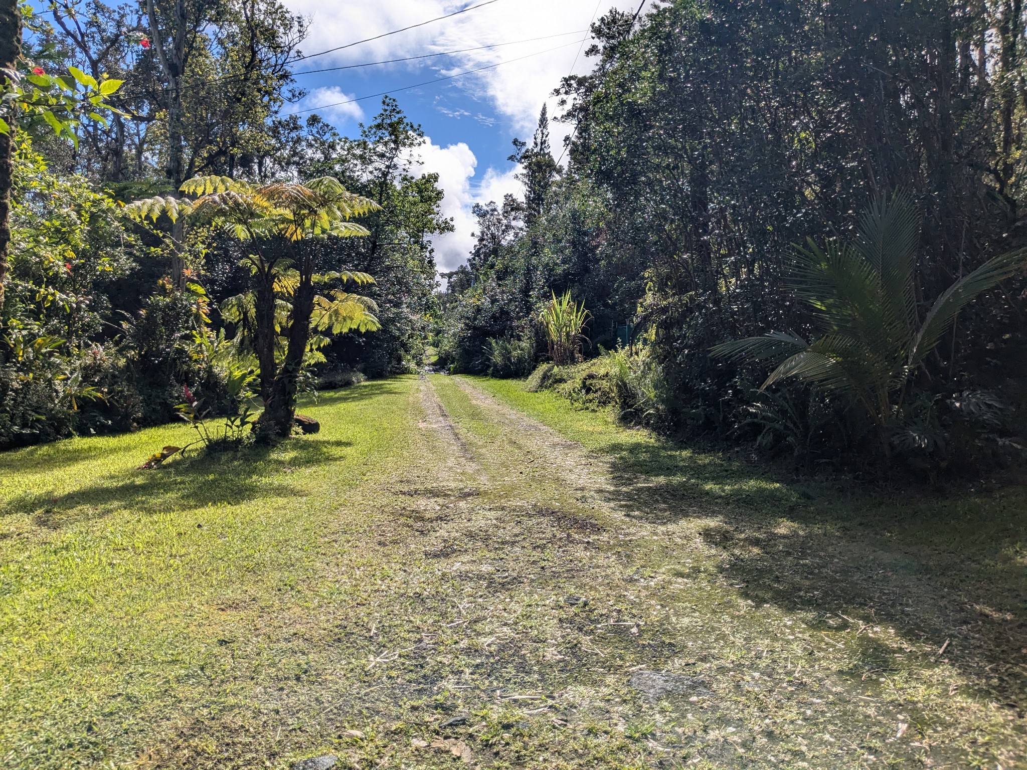 81 Upper Puna Road Pahoa, HI 96778 - Photo 23 of 26 Gallery Image 23