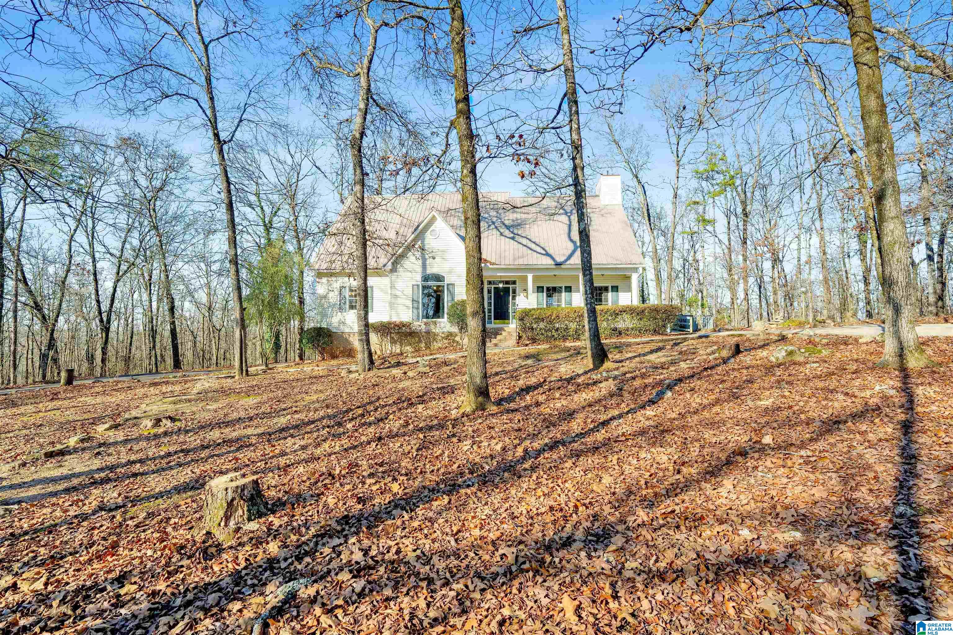 150 Chestnut Drive Alabaster, AL 35007 - Photo 6 of 61