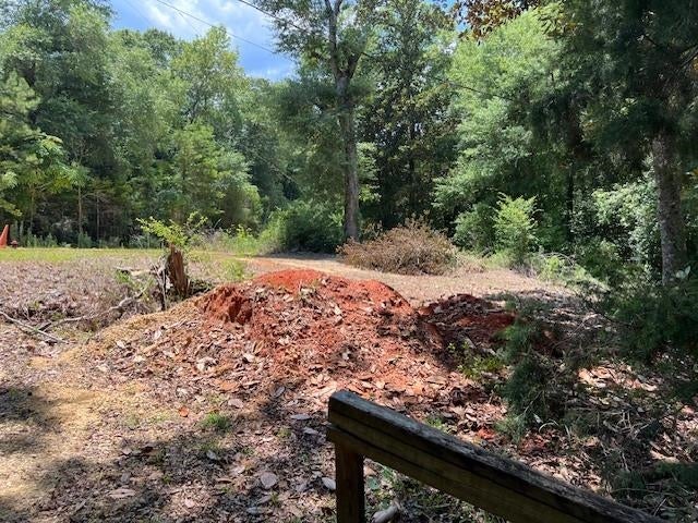 31372 Joe Hughes Road Andalusia, AL 36421 - Photo 43 of 45 Gallery Image 43