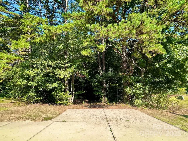 a view of a pathway both side of a tree