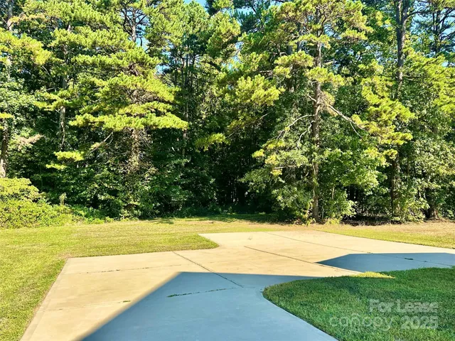 a view of yard with large trees