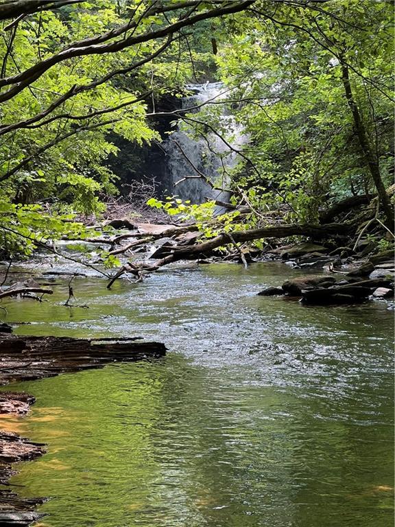 1225 Oglethorpe Road Jasper, GA 30143 - Photo 11 of 37 a view of a lake with houses