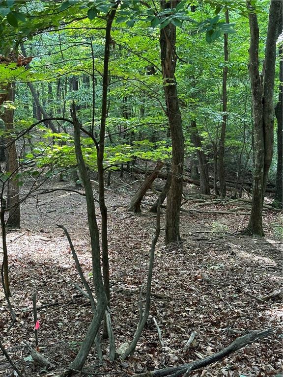 1225 Oglethorpe Road Jasper, GA 30143 - Photo 13 of 37 a view of outdoor space with lots of trees