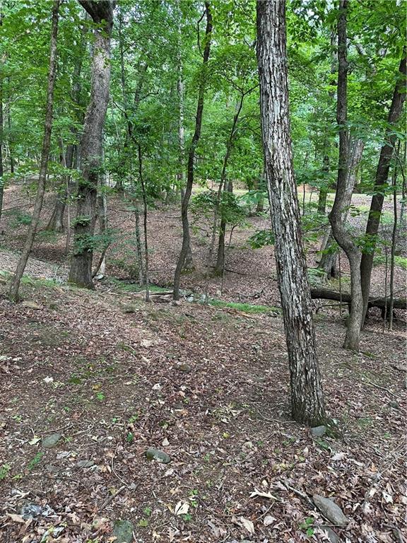 1225 Oglethorpe Road Jasper, GA 30143 - Photo 16 of 37 a backyard of a house with lots of green space