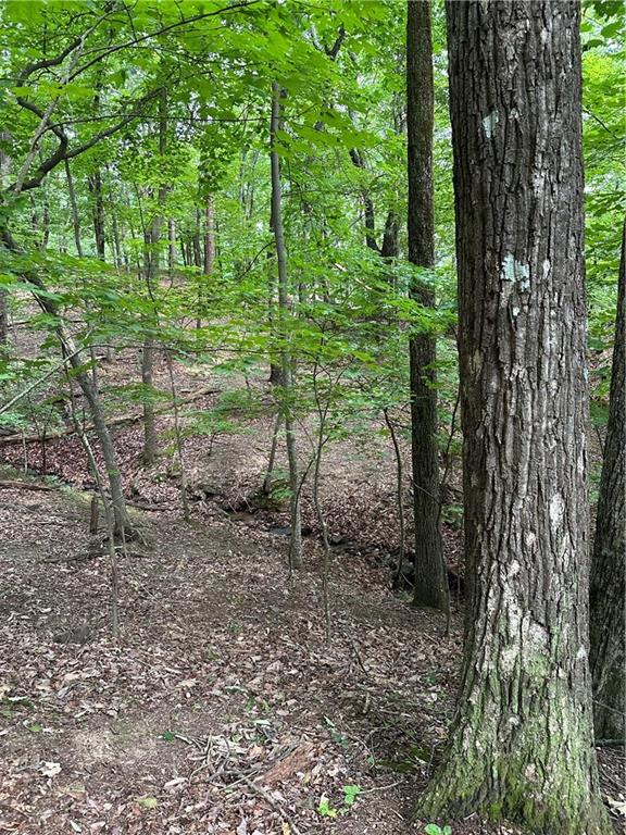 1225 Oglethorpe Road Jasper, GA 30143 - Photo 19 of 37 a backyard of a house with lots of green space