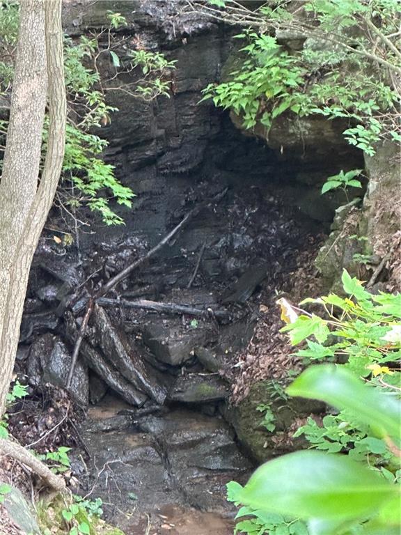 1225 Oglethorpe Road Jasper, GA 30143 - Photo 20 of 37 a backyard of a house
