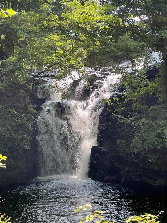 1225 Oglethorpe Road Jasper, GA 30143 - Photo 21 of 37 a view of a yard with plants and large trees