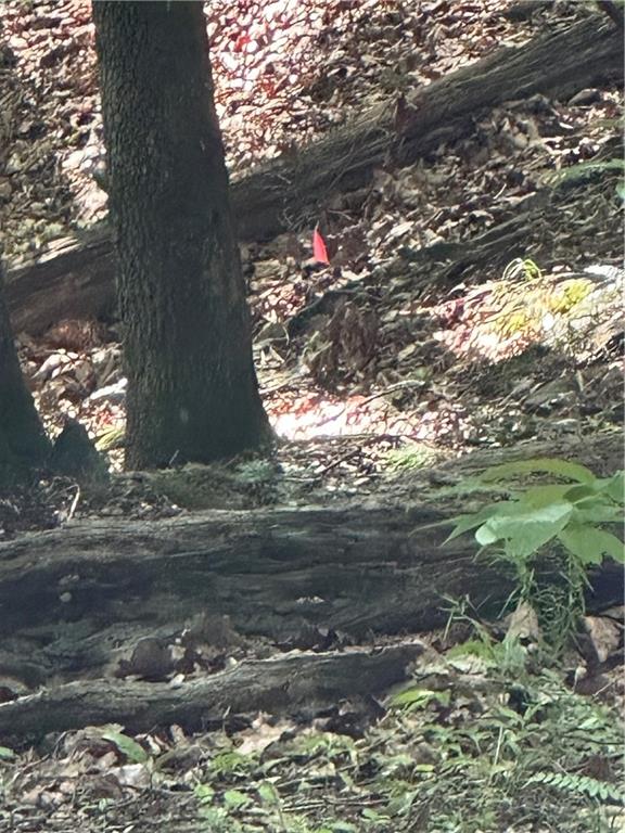 1225 Oglethorpe Road Jasper, GA 30143 - Photo 23 of 37