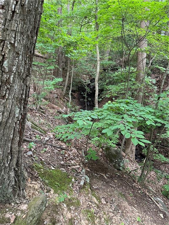 1225 Oglethorpe Road Jasper, GA 30143 - Photo 26 of 37 a garden with lots of trees