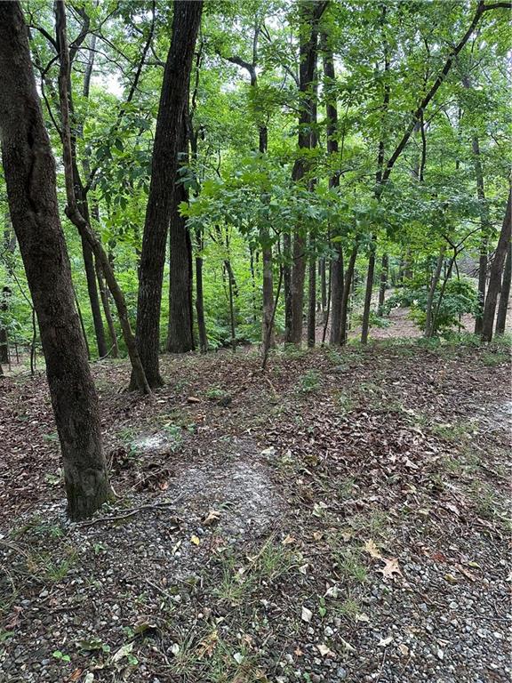 1225 Oglethorpe Road Jasper, GA 30143 - Photo 27 of 37 a view of a forest with trees