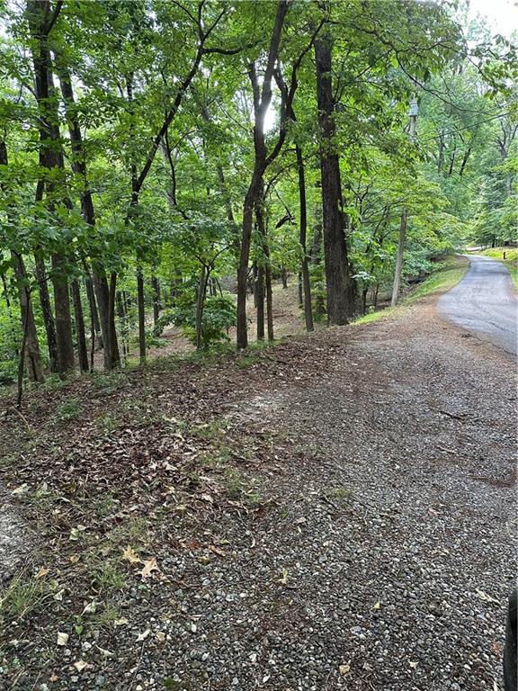 1225 Oglethorpe Road Jasper, GA 30143 - Photo 28 of 37 a big yard with lots of green space and deers