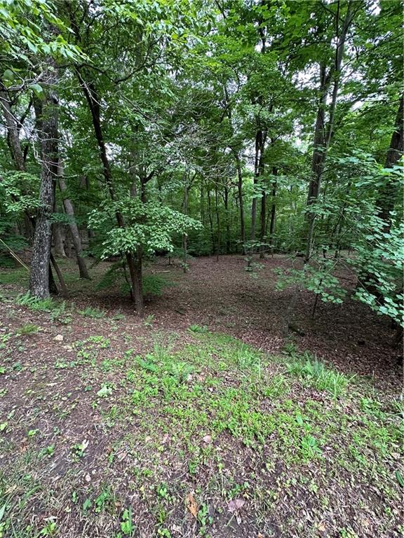 1225 Oglethorpe Road Jasper, GA 30143 - Photo 35 of 37 a view of outdoor space and yard