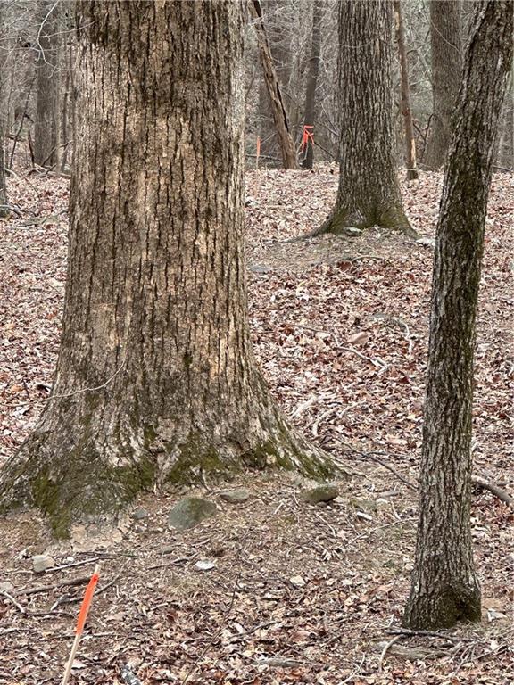 1225 Oglethorpe Road Jasper, GA 30143 - Photo 10 of 37