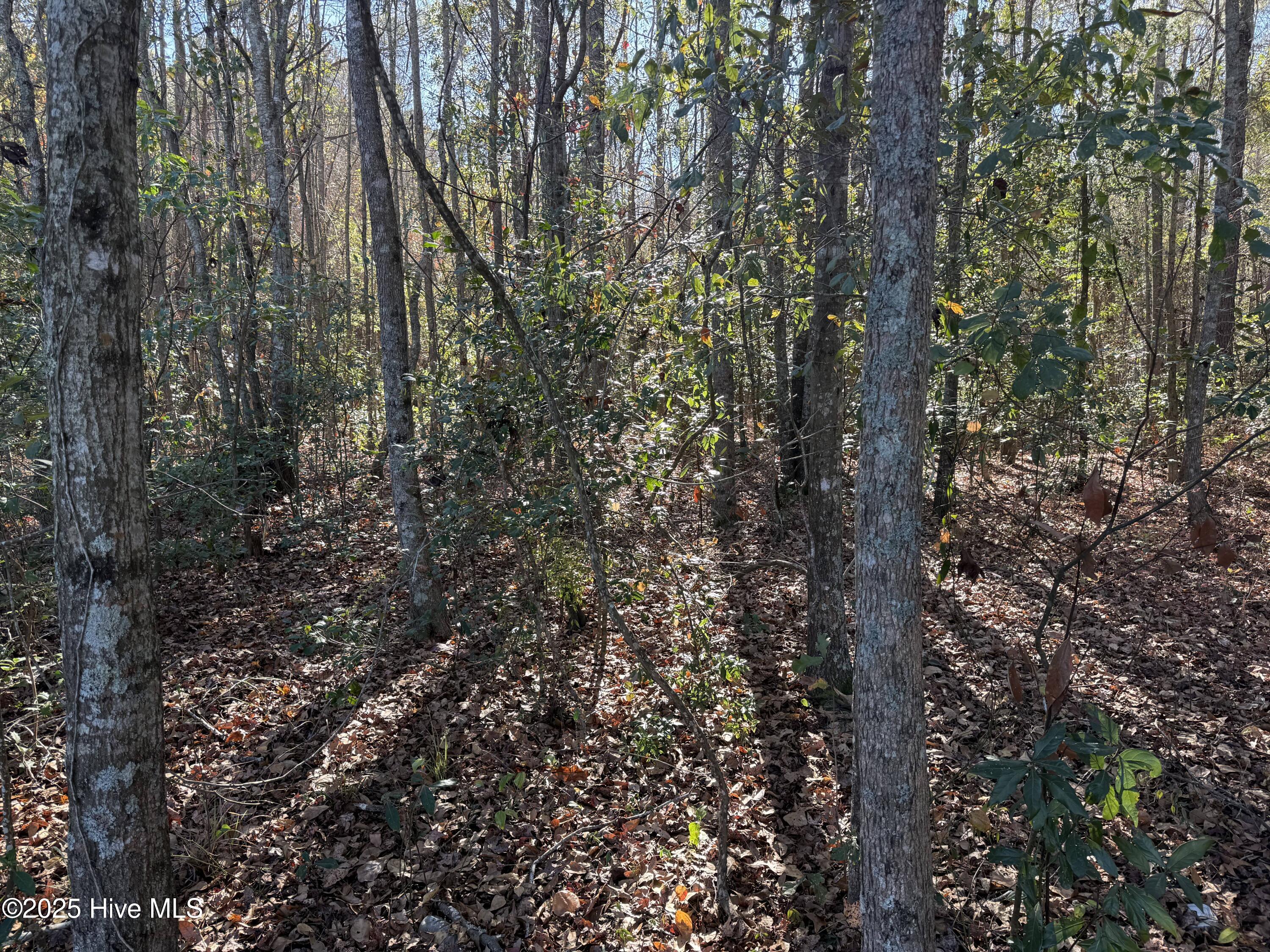 0 Macedonia Church Road Evergreen, NC 28438 - Photo 18 of 34 Image 18
