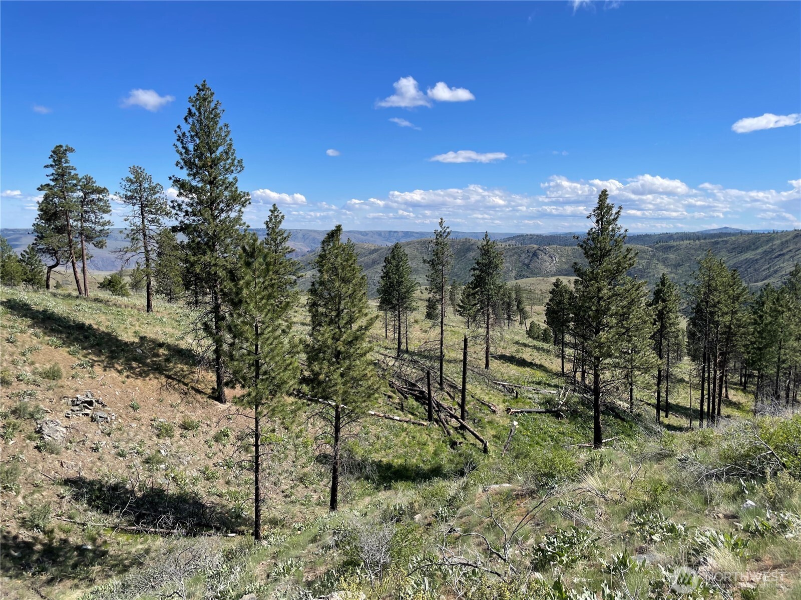 436 Antoine Creek Road, Unit LOT E Chelan, WA 98816 - Photo 16 of 19