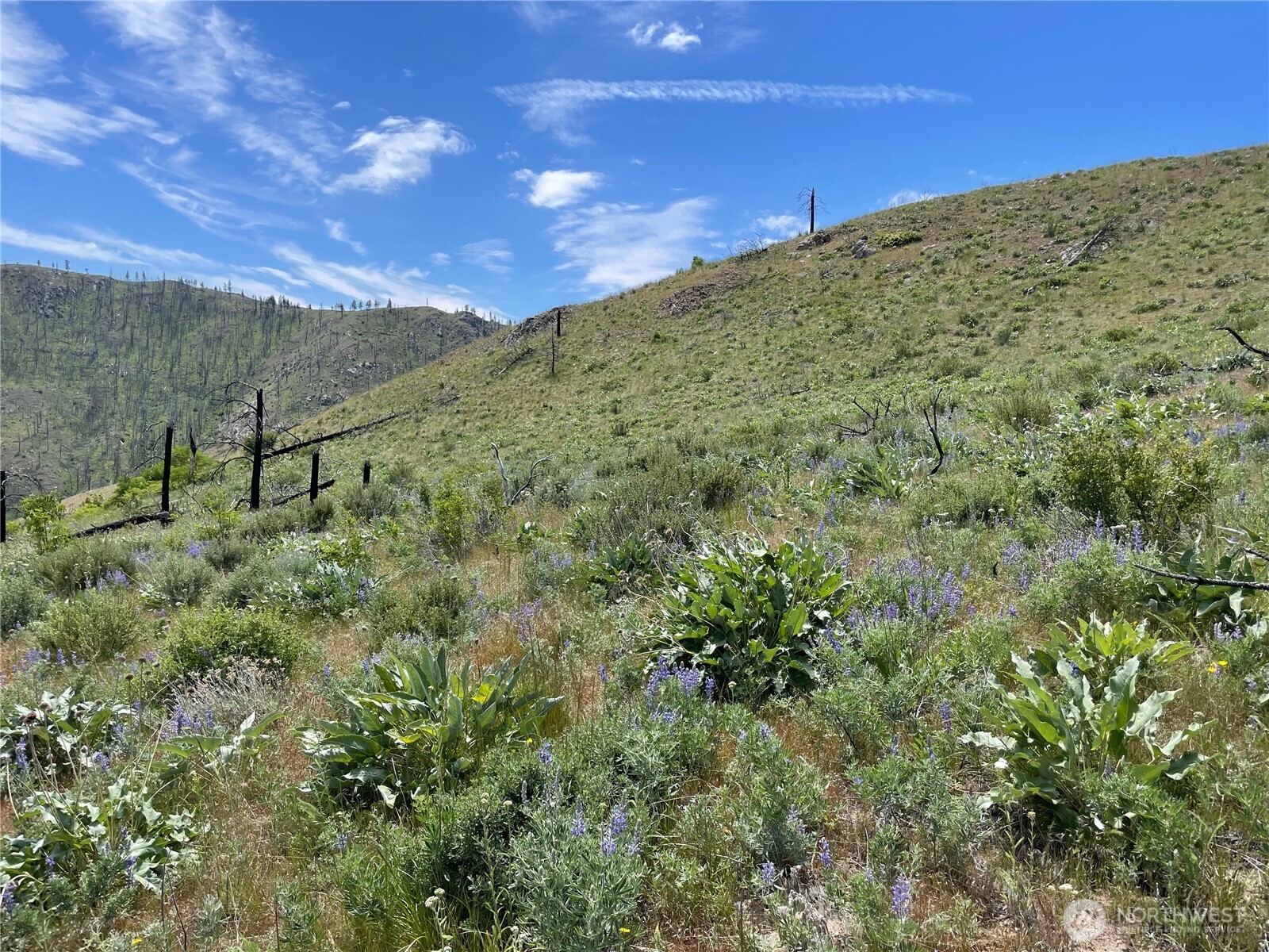 436 Antoine Creek Road, Unit LOT E Chelan, WA 98816 - Photo 4 of 19