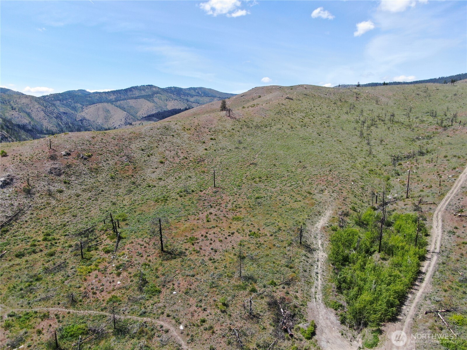 436 Antoine Creek Road, Unit LOT E Chelan, WA 98816 - Photo 6 of 19