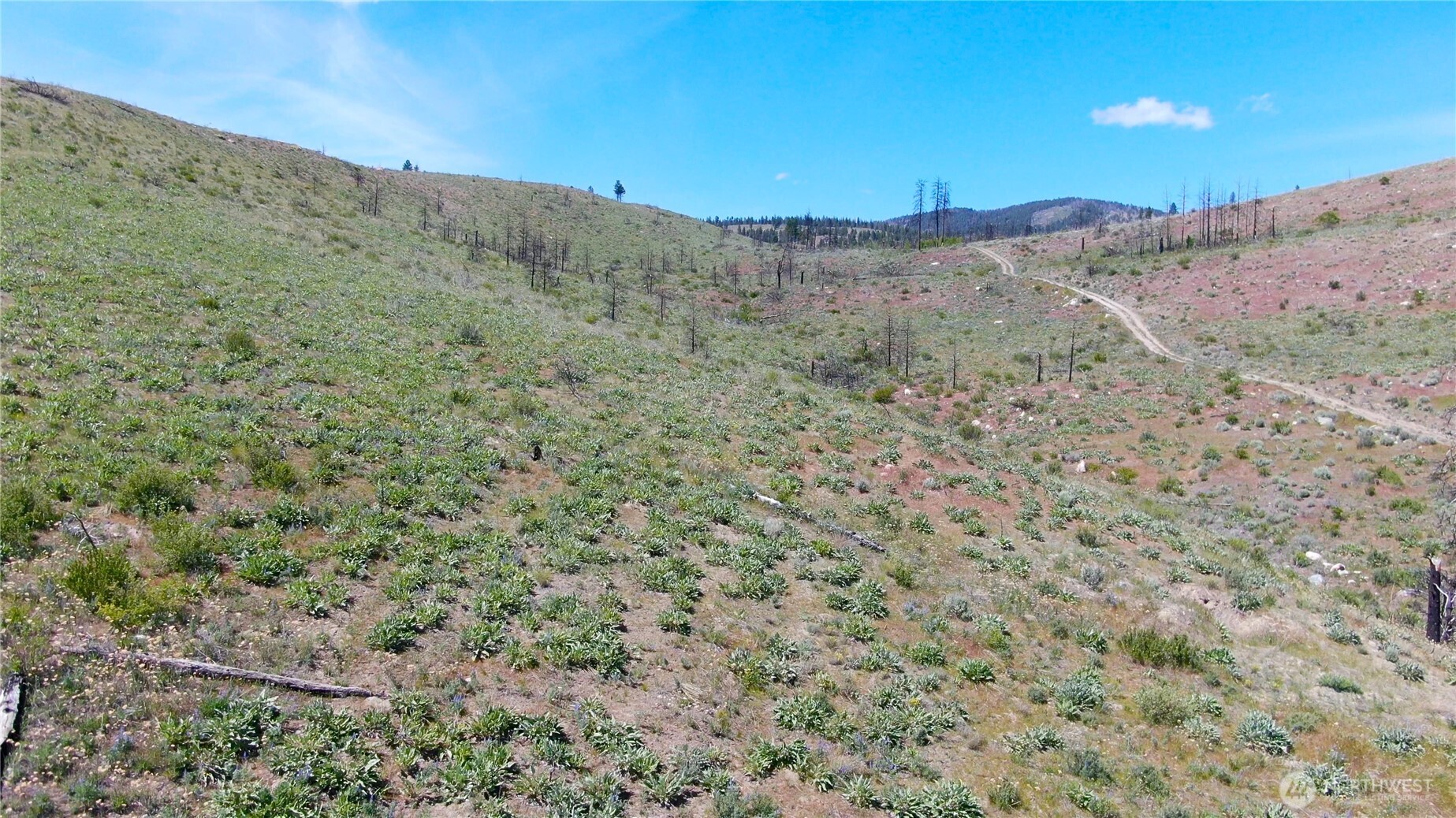 436 Antoine Creek Road, Unit LOT E Chelan, WA 98816 - Photo 8 of 19