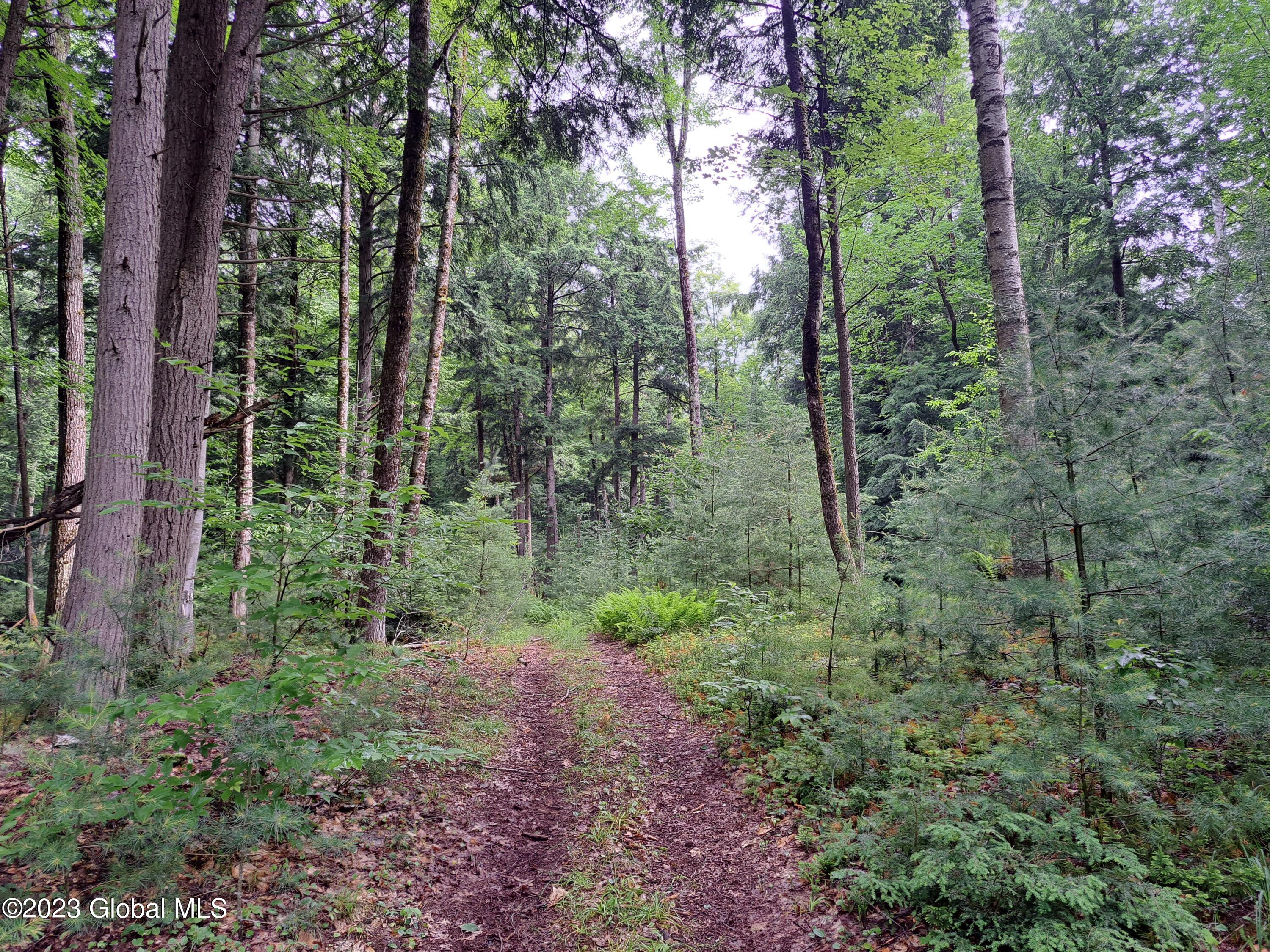 13.2 Friends Lake Road Chestertown, NY 12817 - Photo 15 of 78 14 Woods Road Along Hudson