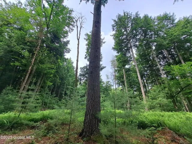 $699,900 | 13.2 Friends Lake Road, Chestertown, NY 12817